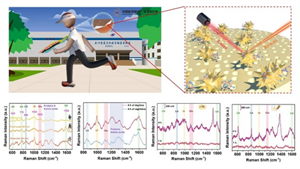 中科院近代物理所制備出可穿戴柔性多孔汗液傳感器