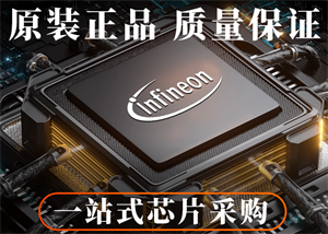 INFINEON英飛凌BTT6030-2EKA功率電子開關(guān)的中文參數(shù)、應(yīng)用領(lǐng)域和功能特點(diǎn)