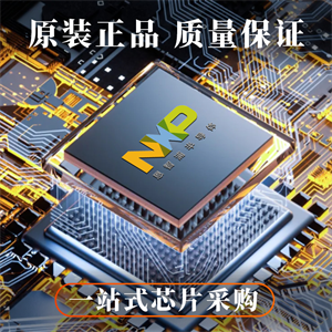 NXP恩智浦LPC1754FBD80K單片機(jī)的中文參數(shù)、應(yīng)用領(lǐng)域和功能特點(diǎn)