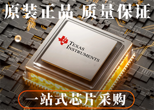 德州儀器MSP430FR5994IRGZR單片機的中文參數、功能特點及應用領域